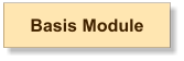 Basis Module